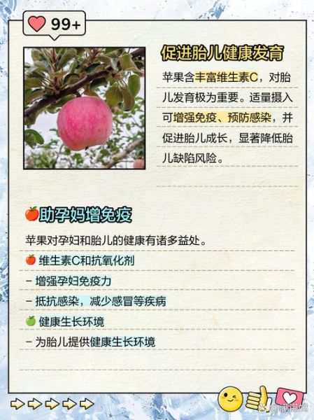 孕妇为什么喜欢吃苹果_孕妇吃苹果对胎儿好吗-第1张图片-星辰妙记