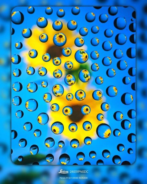 超级微距镜头怎么选_拍细节用什么镜头-第3张图片-星辰妙记