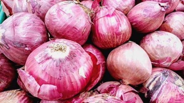孕妇能吃洋葱吗_怀孕初期吃洋葱安全吗-第3张图片-星辰妙记