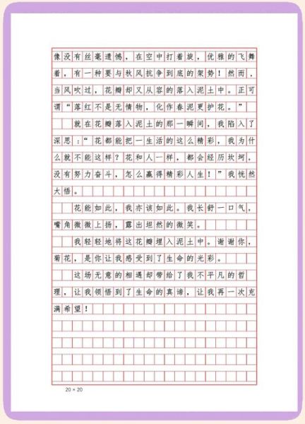遇见作文500字怎么写_如何写出真情实感-第2张图片-星辰妙记