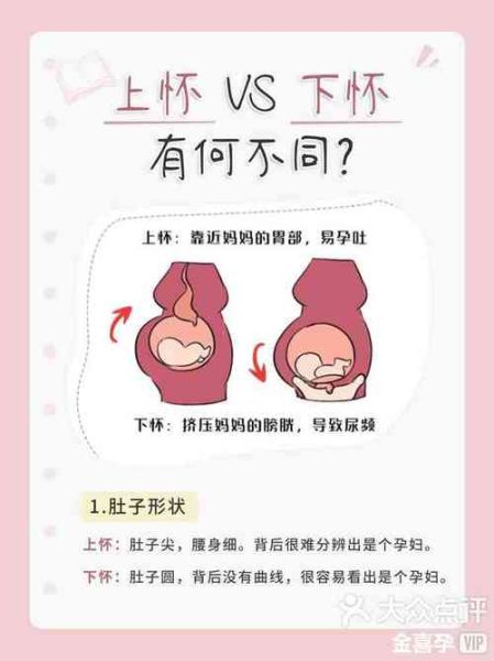 孕妇下怀好还是上怀好_区别与注意事项-第2张图片-星辰妙记