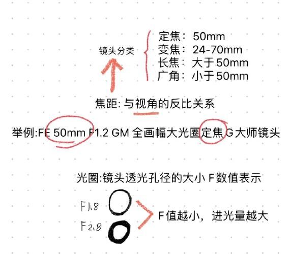 镜头带ed怎么选_镜头带ed和没有ed区别-第3张图片-星辰妙记