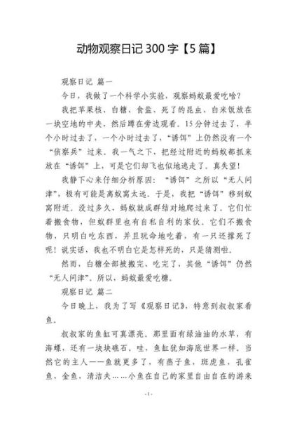 观察作文300字怎么写_观察作文300字写作技巧-第1张图片-星辰妙记