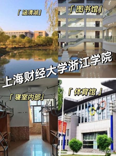 上海财经大学浙江学院怎么样_就业前景如何-第1张图片-星辰妙记