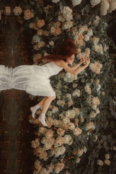 镜头下的世界_如何用手机拍出电影感-第1张图片-星辰妙记