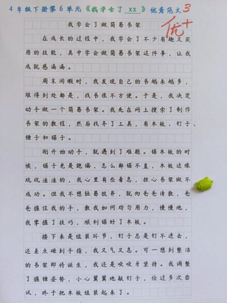 我学会了什么_如何写好作文-第2张图片-星辰妙记