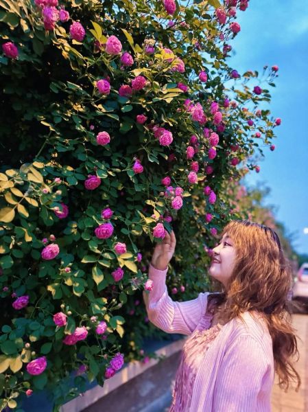 拍花镜头怎么选_拍花镜头推荐-第1张图片-星辰妙记