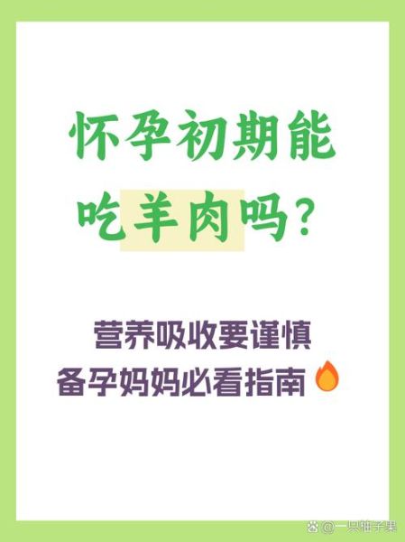 孕妇可以吃羊肉吗_孕妇吃羊肉对胎儿好吗-第2张图片-星辰妙记
