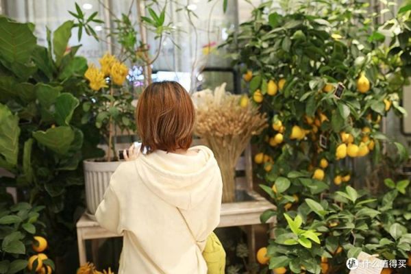 85人像定焦镜头怎么选_85mm镜头适合拍什么-第3张图片-星辰妙记 85人像定焦镜头怎么选_85mm镜头适合拍什么-第3张图片-星辰妙记