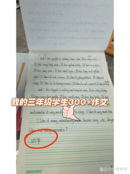 小学三年级英语作文怎么写_如何提高英语作文水平-第1张图片-星辰妙记