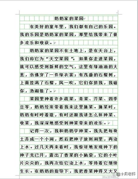 奶奶的菜园作文怎么写_如何描写奶奶的菜园-第2张图片-星辰妙记