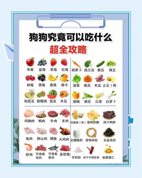 孕妇狗吃什么好_孕期狗狗注意事项-第2张图片-星辰妙记