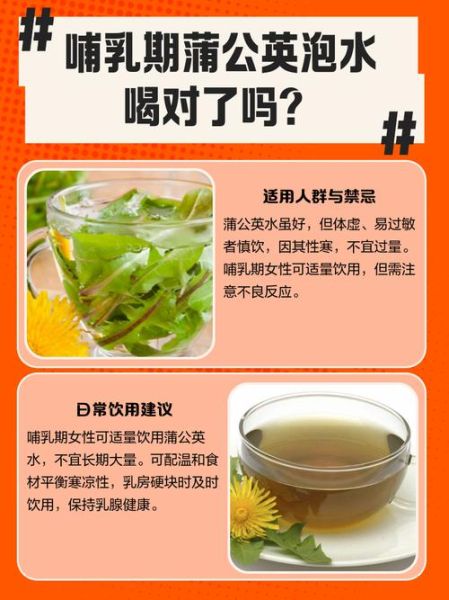 孕妇可以喝蒲公英泡水吗_蒲公英泡水对孕妇安全吗-第2张图片-星辰妙记