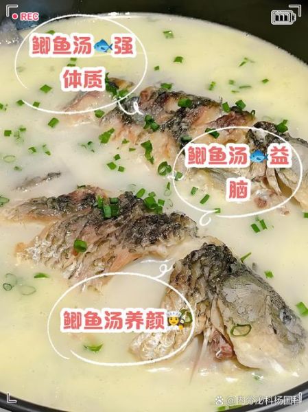 孕妇可以喝鲫鱼汤吗_鲫鱼汤对孕妇的好处-第1张图片-星辰妙记