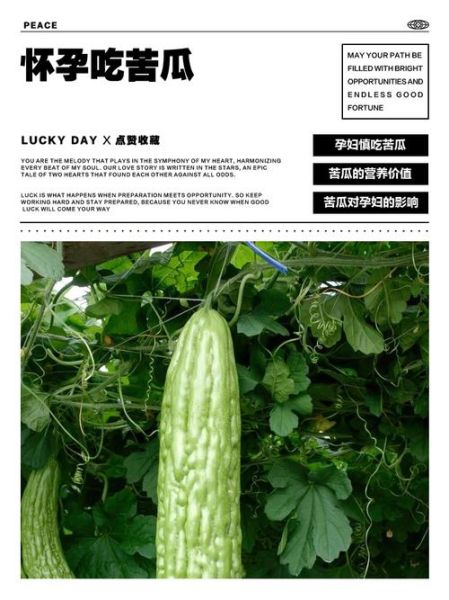孕妇能不能吃苦瓜_孕妇吃苦瓜对胎儿有影响吗-第1张图片-星辰妙记