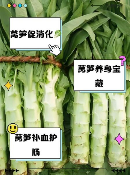 孕妇可以吃莴笋吗_莴笋对胎儿有什么好处-第1张图片-星辰妙记