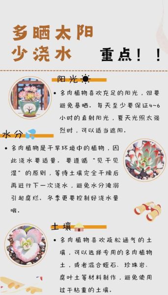 多肉植物怎么养_多肉多久浇一次水-第2张图片-星辰妙记