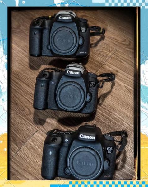 佳能7d2配什么镜头_佳能7d2镜头推荐-第3张图片-星辰妙记