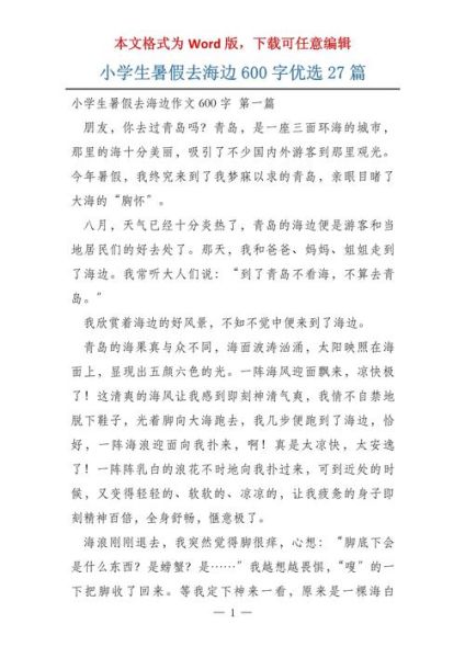 看海的作文怎么写_看海作文600字范文-第1张图片-星辰妙记