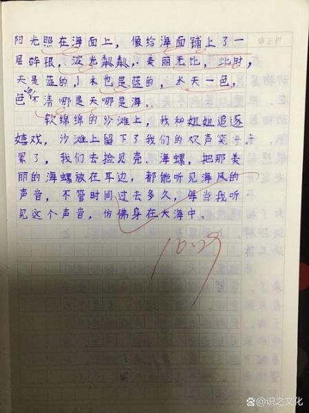 看海的作文怎么写_看海作文600字范文-第2张图片-星辰妙记