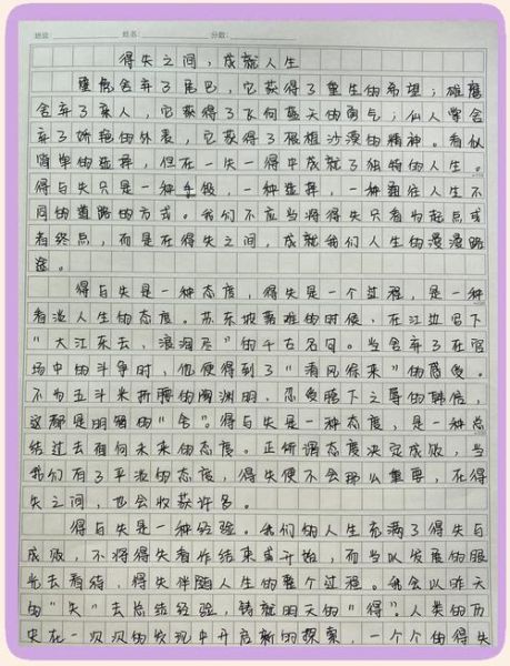 高考作文要求多少字_如何写够800字-第1张图片-星辰妙记