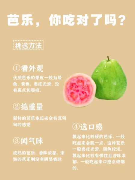 孕妇能吃番石榴吗_番石榴对胎儿好吗-第2张图片-星辰妙记