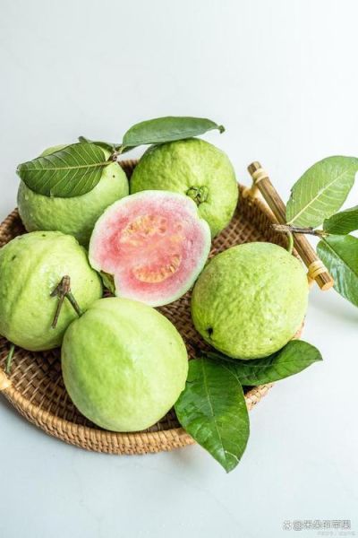孕妇能吃番石榴吗_番石榴对胎儿好吗-第3张图片-星辰妙记