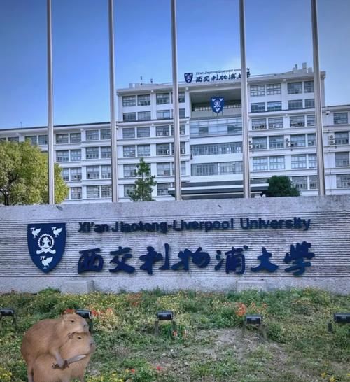 西交利物浦大学怎么样_西交利物浦大学学费一年多少钱-第1张图片-星辰妙记