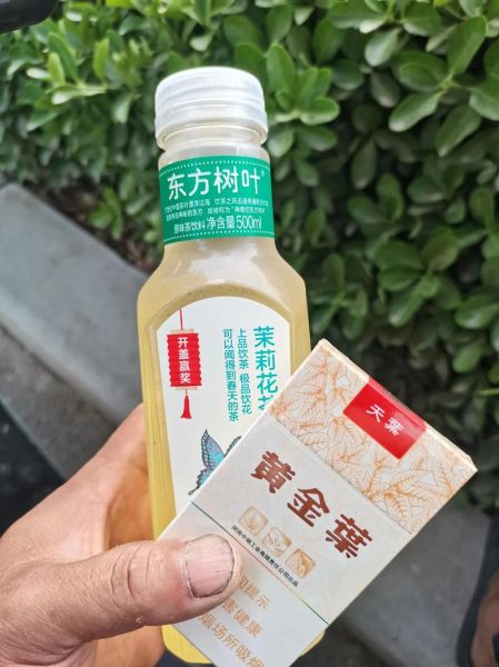 孕妇可以喝东方树叶吗_东方树叶孕妇能喝吗-第3张图片-星辰妙记 孕妇可以喝东方树叶吗_东方树叶孕妇能喝吗-第3张图片-星辰妙记