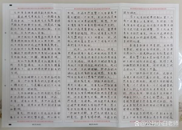 如何写好高中作文_高中作文范文怎么写-第3张图片-星辰妙记