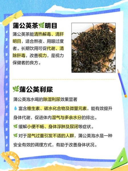 孕妇喝蒲公英水安全吗_孕妇喝蒲公英水有哪些好处-第2张图片-星辰妙记