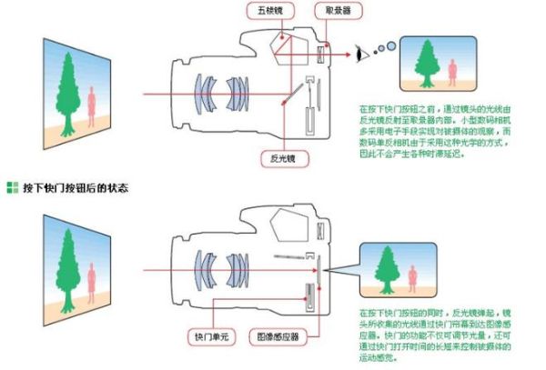 单镜头反光照相机怎么选_单反相机入门教程-第1张图片-星辰妙记