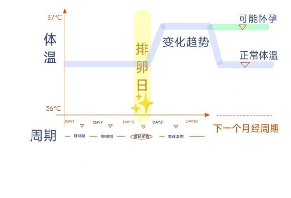 孕妇体温比正常人高吗_孕期体温多少算正常-第3张图片-星辰妙记