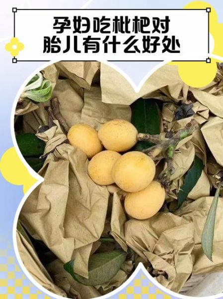 孕妇晚期能吃枇杷吗_枇杷对胎儿影响-第1张图片-星辰妙记