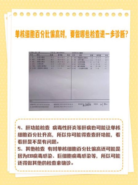 单核细胞计数偏高孕妇怎么办_会影响胎儿吗-第3张图片-星辰妙记 单核细胞计数偏高孕妇怎么办_会影响胎儿吗-第3张图片-星辰妙记