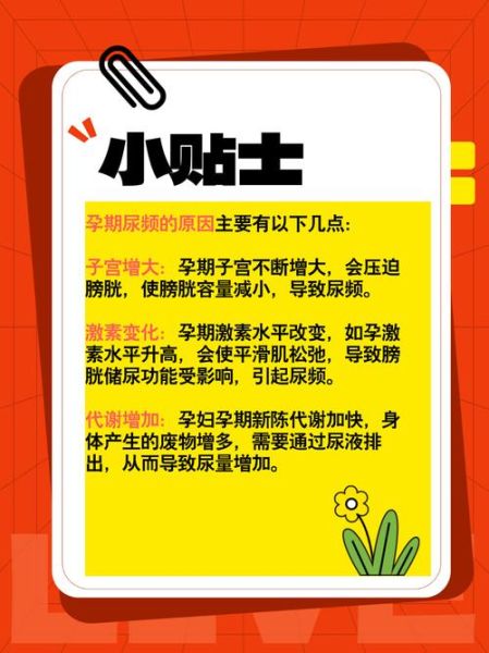 孕妇尿频正常吗_怀孕初期尿频多久缓解-第1张图片-星辰妙记