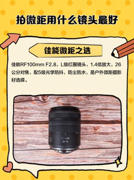 微距镜头怎么选_微距镜头拍什么最好看-第3张图片-星辰妙记