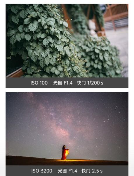 f1.4镜头适合拍什么_f1.4大光圈优缺点-第3张图片-星辰妙记