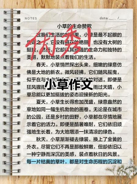 小草作文怎么写_小草作文300字如何扩展-第2张图片-星辰妙记