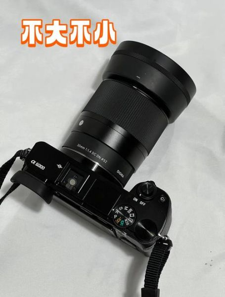索尼a6300配什么镜头_索尼a6300镜头推荐-第2张图片-星辰妙记