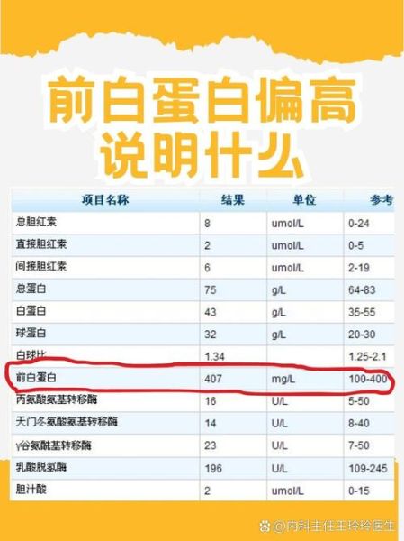 孕妇白蛋白偏高是什么原因_孕妇白蛋白偏高怎么办-第2张图片-星辰妙记