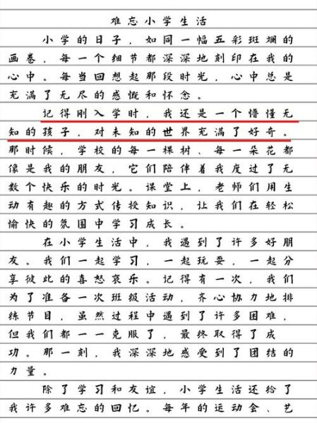 小学生500字作文怎么写_如何写500字作文-第3张图片-星辰妙记