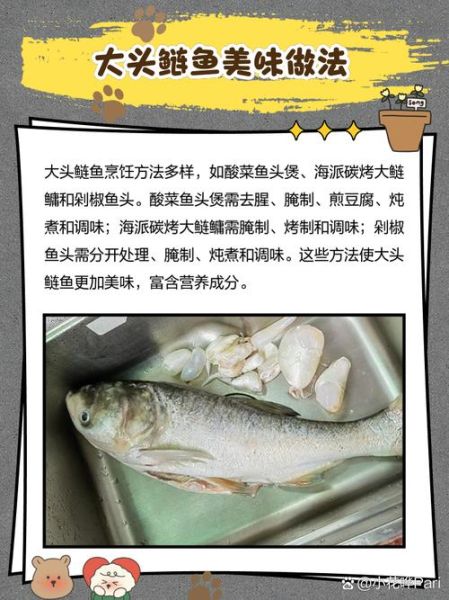 孕妇能吃鲢鱼吗_孕妇吃鲢鱼的好处和禁忌-第1张图片-星辰妙记 孕妇能吃鲢鱼吗_孕妇吃鲢鱼的好处和禁忌-第1张图片-星辰妙记