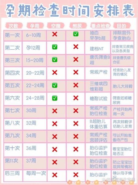 孕妇什么时候做nt_最佳孕周是多少-第3张图片-星辰妙记