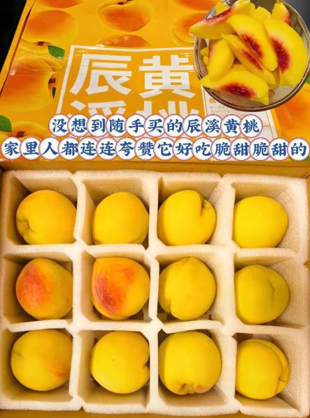 孕妇可以吃黄桃吗_孕妇吃黄桃对胎儿好吗-第3张图片-星辰妙记