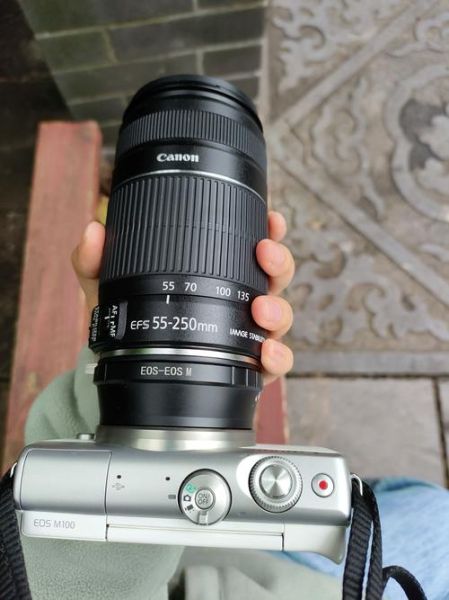 55-250镜头值得买吗_55-250镜头适合拍什么-第2张图片-星辰妙记