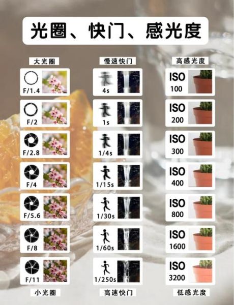 镜头速度是什么_怎么选合适的光圈快门组合-第3张图片-星辰妙记