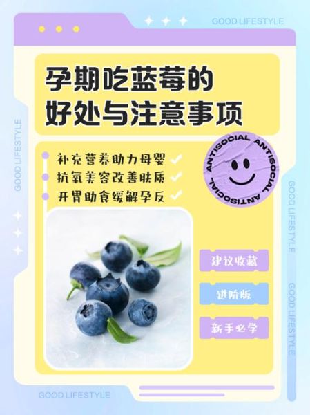 孕妇可以吃蓝莓吗_孕妇吃蓝莓对胎儿有什么好处-第1张图片-星辰妙记