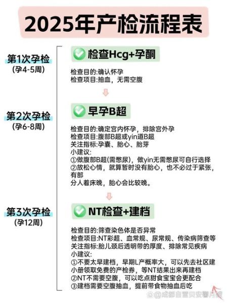 孕妇去日本旅游注意事项_日本孕期产检流程-第3张图片-星辰妙记