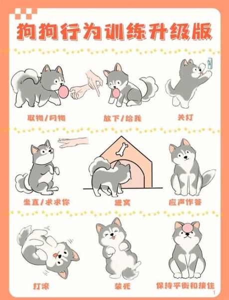 我家的小狗怎么训练_适合新手的小狗训练技巧-第3张图片-星辰妙记 我家的小狗怎么训练_适合新手的小狗训练技巧-第3张图片-星辰妙记